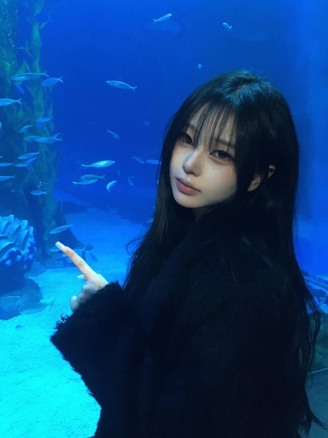 Photo shared by 예령 on February 13, 2026 tagging @rockcake_. May be an image of fish, aquarium and text.