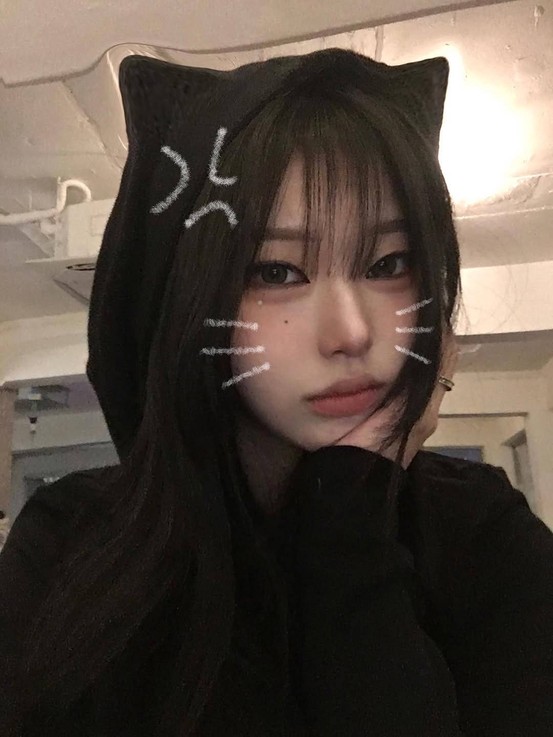 rr_yung 게시물 이미지: 분양 하실 분