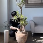 onsildo_c_store 프로필 사진