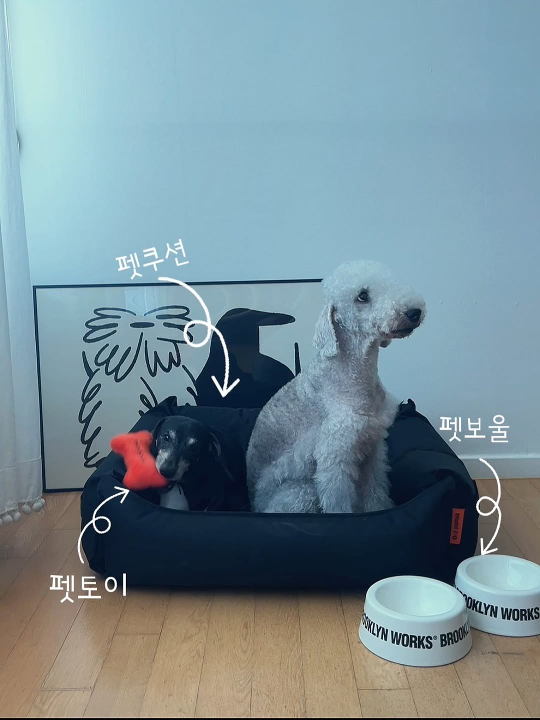 Photo by Suk jinjoo on July 29, 2025. May be an image of ‎Bedlington terrier and ‎text that says '‎펜구션 豪た 5 펫보울 هم 펫토이 OKLYN OKLYNWORKS WORKS KLYN WORKS® BROOK‎'‎‎.