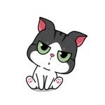 cobi_toon 프로필 사진