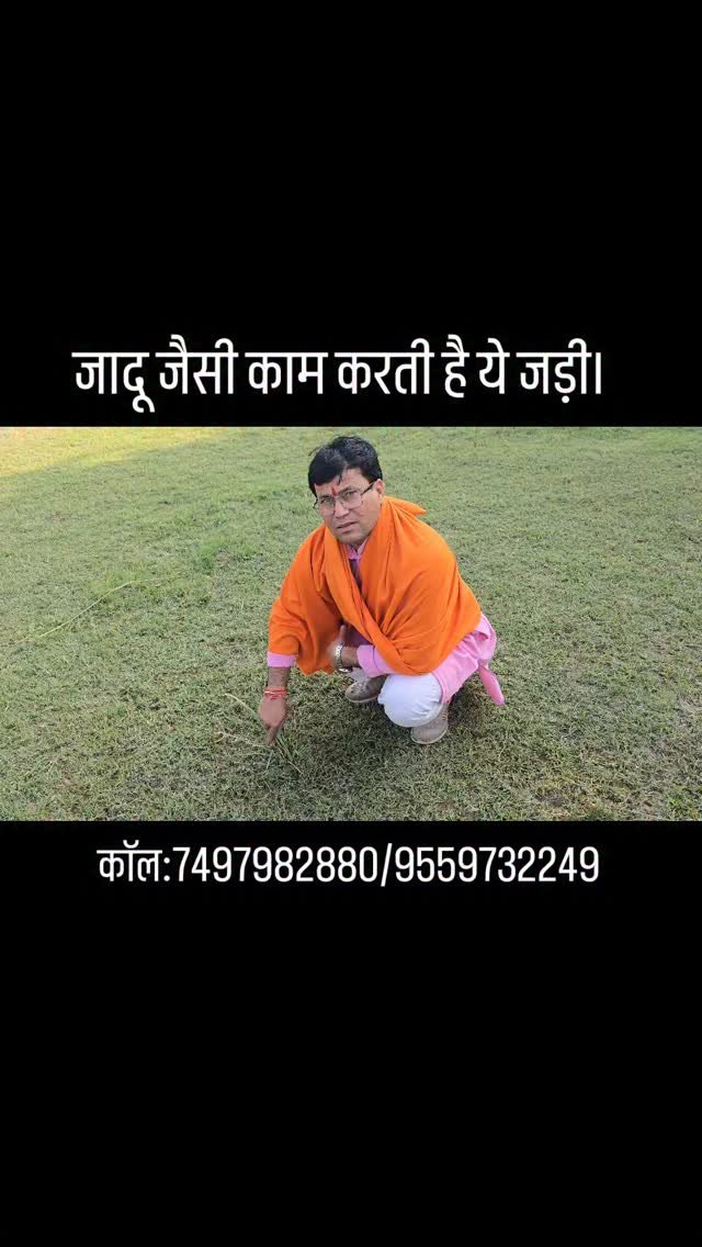 rudrendramishra 게시물 이미지: जादू जैसी काम करती है ये जड़ी।
#instareels...