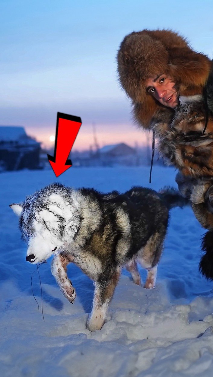 ruhicenet 게시물 이미지: Dünyanın En Soğuk Köyü 🥶 (-71°C)
The Coldest...