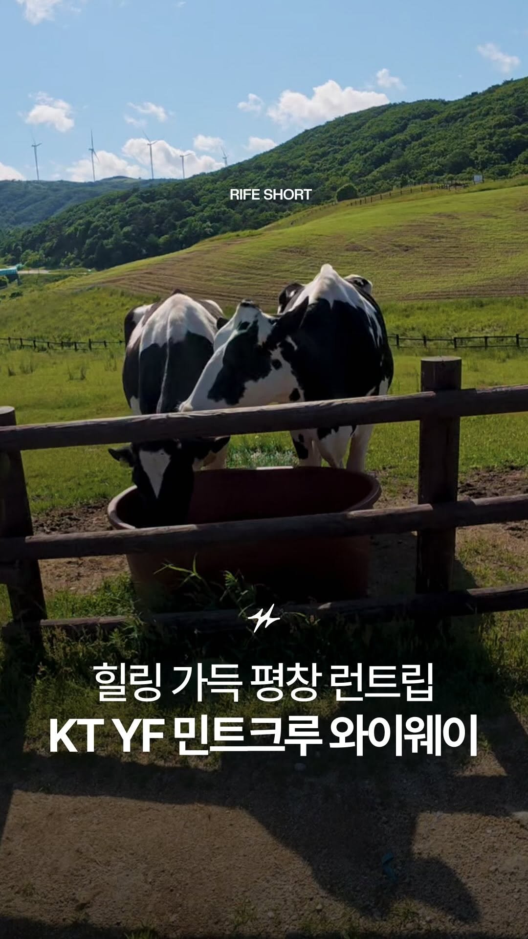 runninglife_korea 게시물 이미지: #광고 이게 러닝 행사라고? 치즈 만들고, 타조한테 차이고(?), 어느새 힐링까지...
