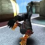 krdsnebekliyonvip 프로필 사진
