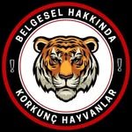 belgeselhakkinda 프로필 사진