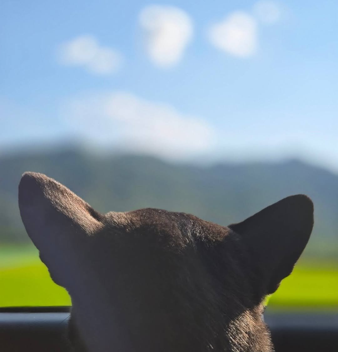 Photo by 견자희 on August 17, 2024.