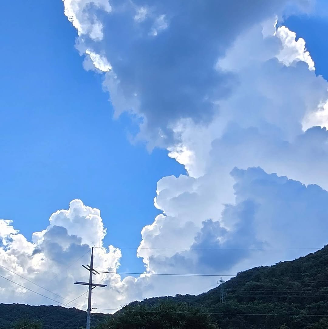 Photo by 견자희 on August 20, 2024.