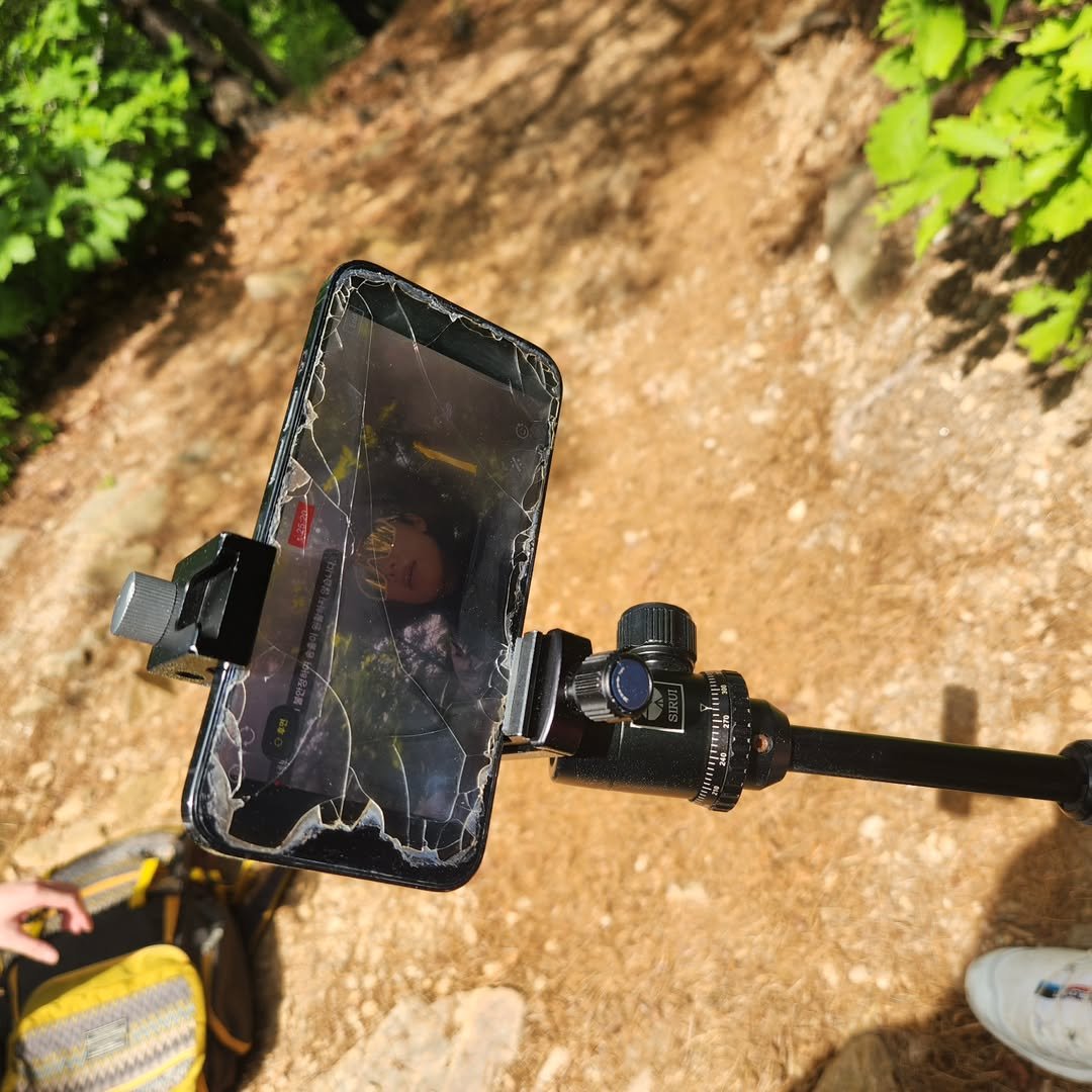 Photo by 견자희 on July 08, 2024.