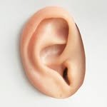 dear.ear_music 프로필 사진