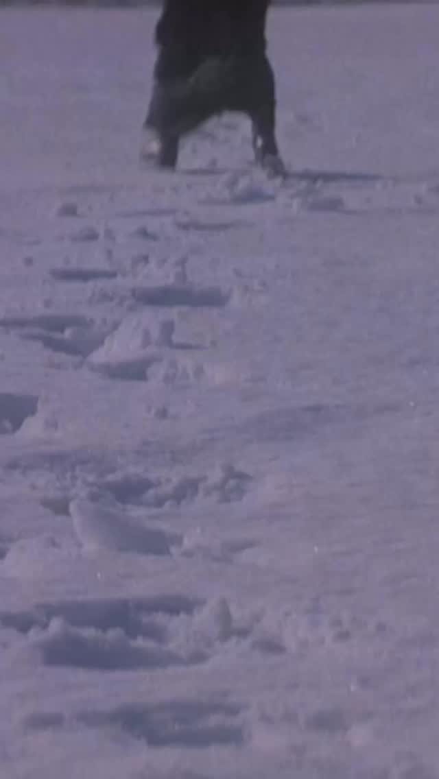 ryakemag 게시물 이미지: 잘 지내시나요? 저는 잘 지낸답니다.

후지이 이츠키에게 전하는 마지막...