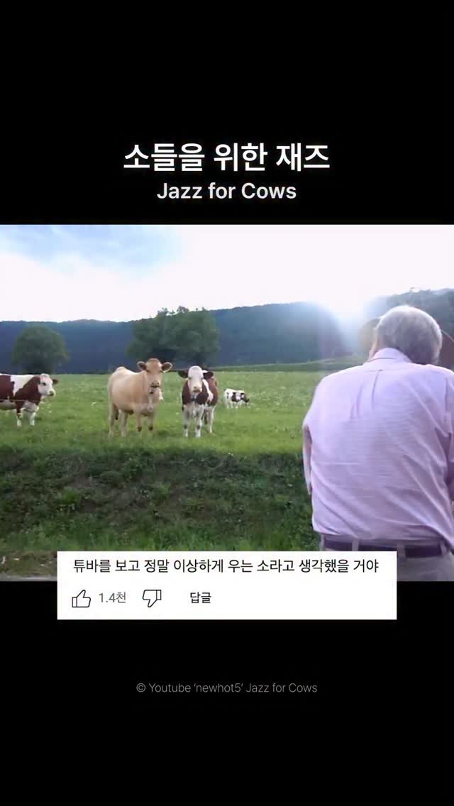 ryakemag 게시물 이미지: 소들도 재즈를 즐긴다는 사실을 알고 계신가요?

소의 울음소리를 연상시키는 튜바의...