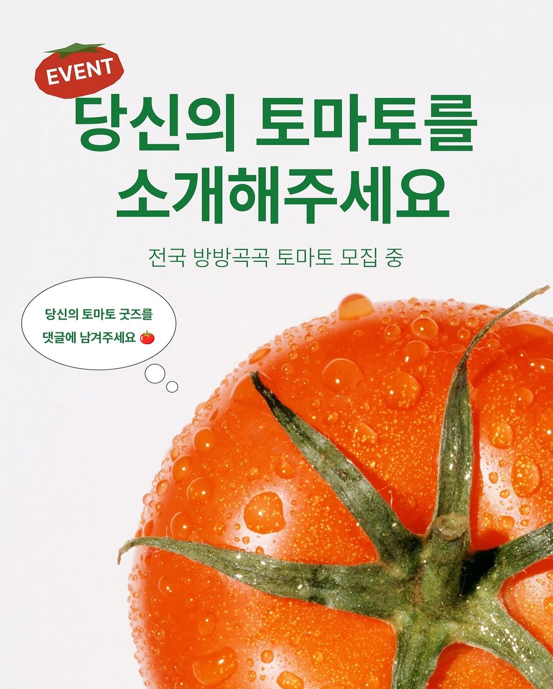 Photo by 리에이크 매거진 I 낭만과 취향의 발견 on July 22, 2025. May be an image of book, tomato and text that says 'EVENT 당신의 토마토를 소개해주세요 전국 방방곡곡 토마토 모집 중 당신의 토마토 굿즈를 댓글에 남겨주세요'.
