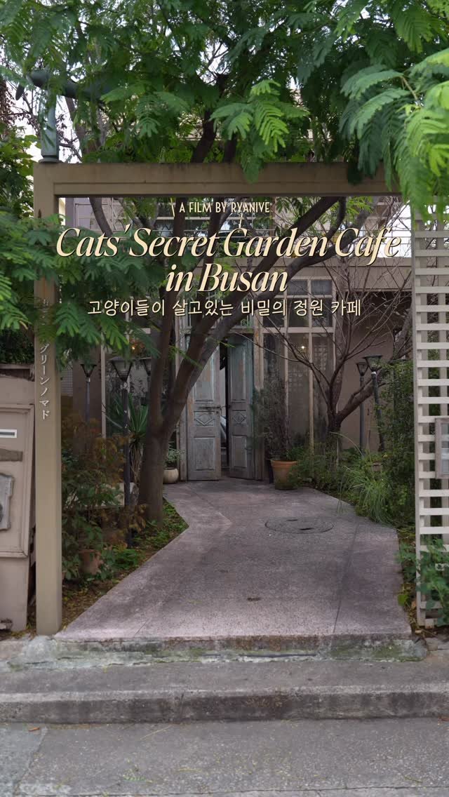 ryanive 게시물 이미지: 오늘은, 고양이들이 반겨주는 신비로운 비밀의 정원 카페

✦ 당신의 취향이 될 공간...