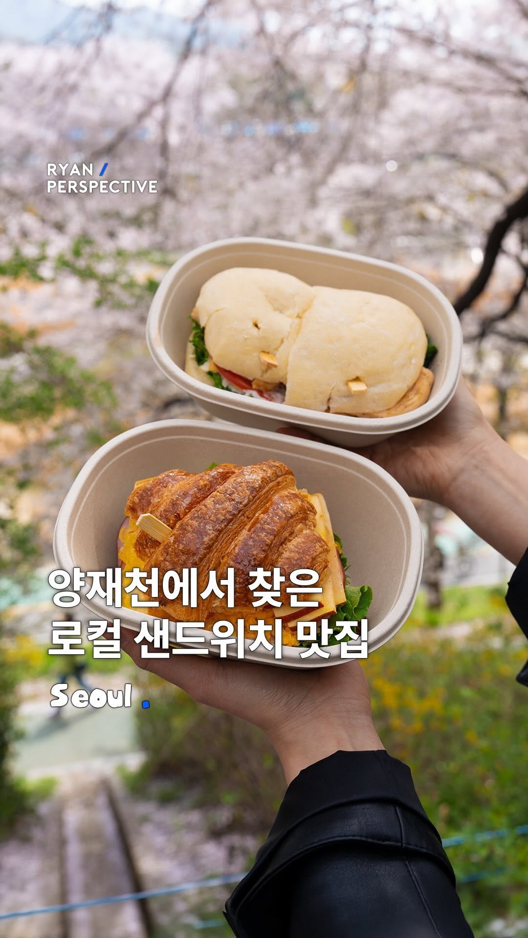 ryanive 게시물 이미지: 오늘은, 양재천 벚꽃 보러 갔다 찾은 로컬 샌드위치 맛집

샌드위치 사들고 양재천...