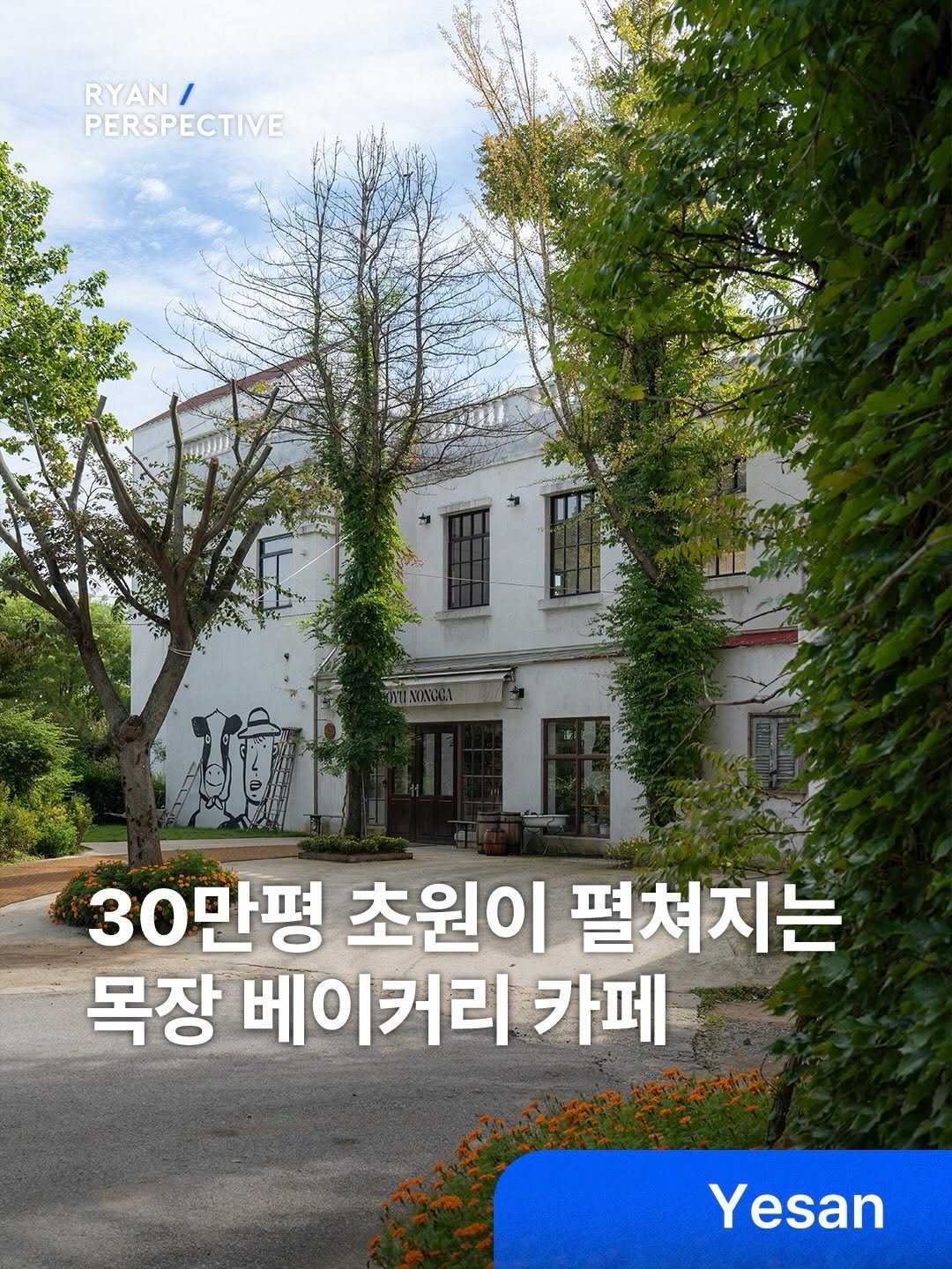 ryanive 게시물 이미지: 오늘은, 30만평 푸른 초원이 눈앞에 펼쳐지는 목장 베이커리 카페

무려 30만...