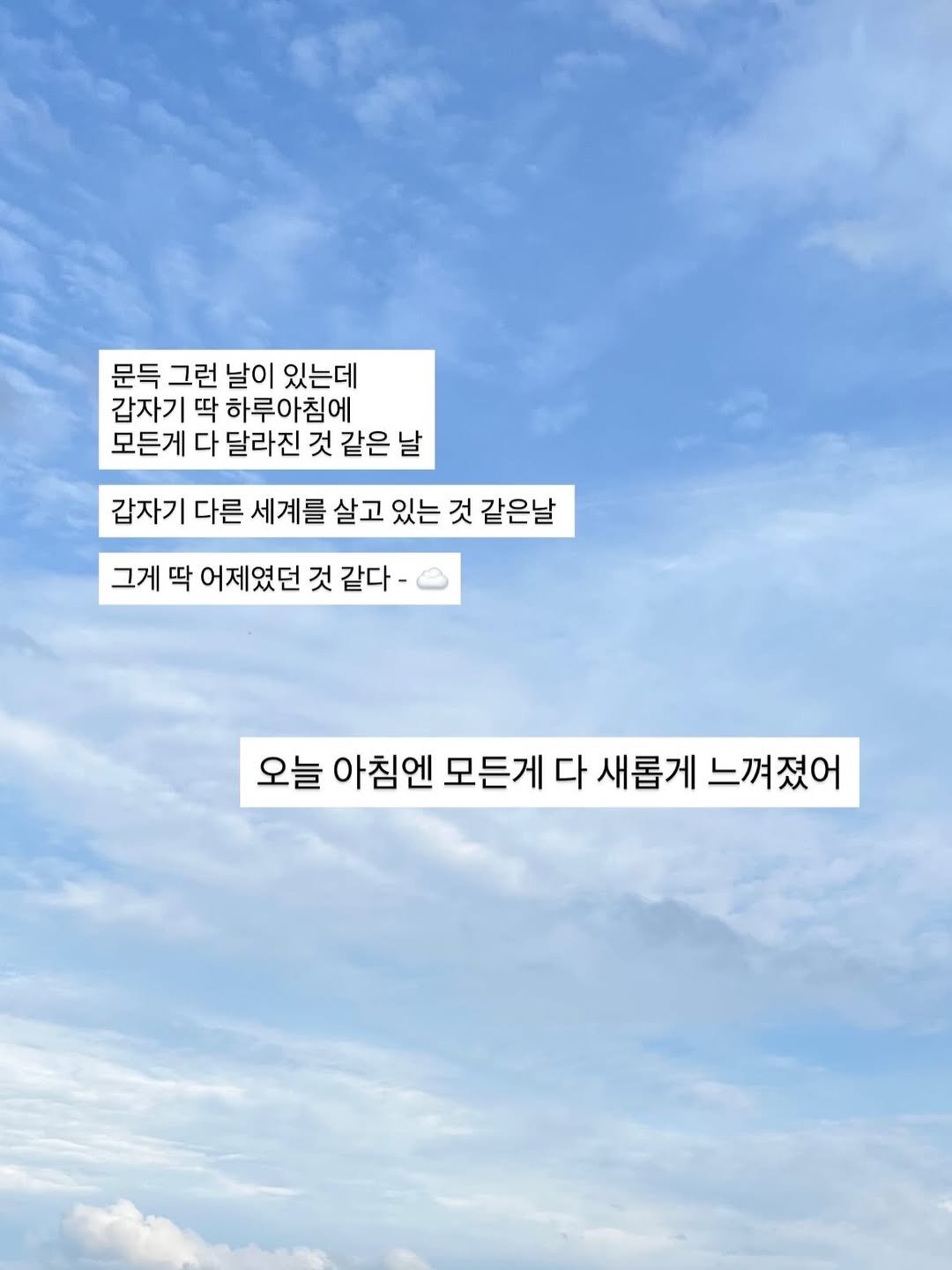 ryudeee__ 게시물 이미지: 갑자기 하루 아침에 모든게 달라진 것 같은 날. 
딱 그런 날을 경험했다. 

내가...