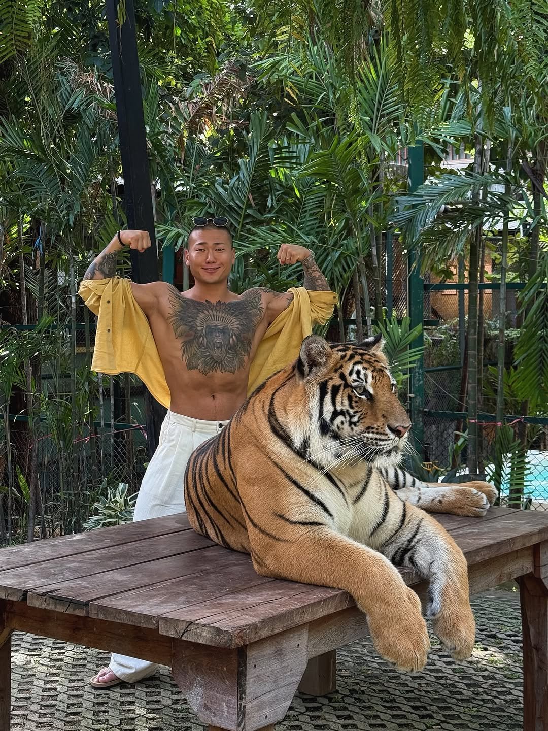 Photo by 돌쇠 on August 10, 2025. May be an image of 1 person and big cat.