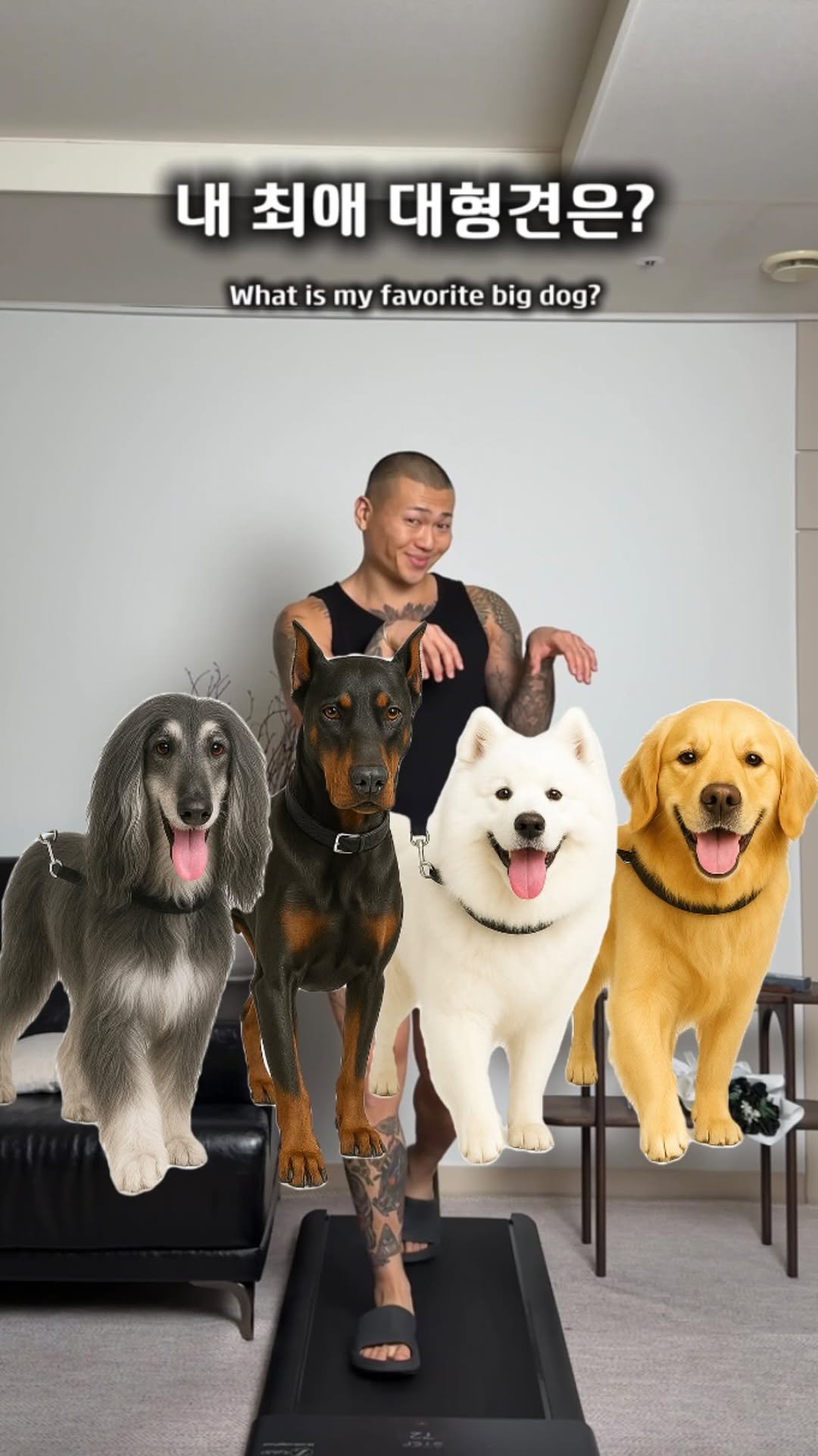 s.tone__iron 게시물 이미지: 최애 대형견 FW 코디 🦮

어떤 코디가 맘에 드시나요? 

코디 정보는 상품...