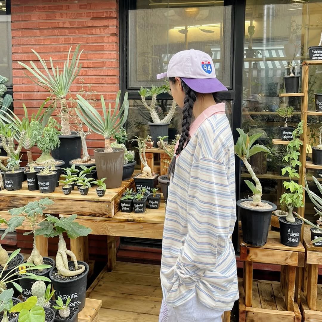 Photo by 김설현 on June 16, 2025. May be an image of house plant, mistletoe cactus, cactus and text.