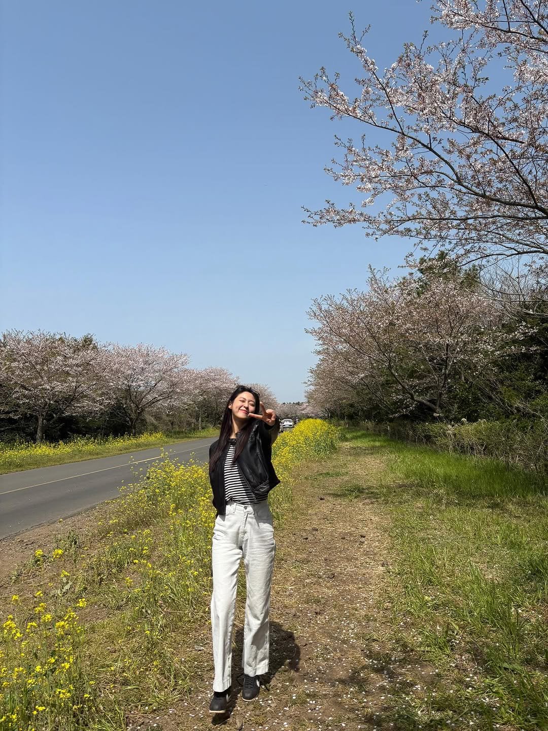 Photo by 김설현 on August 16, 2025. May be an image of stone-fruit tree.