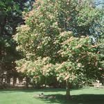 yoonseoah_ 프로필 사진