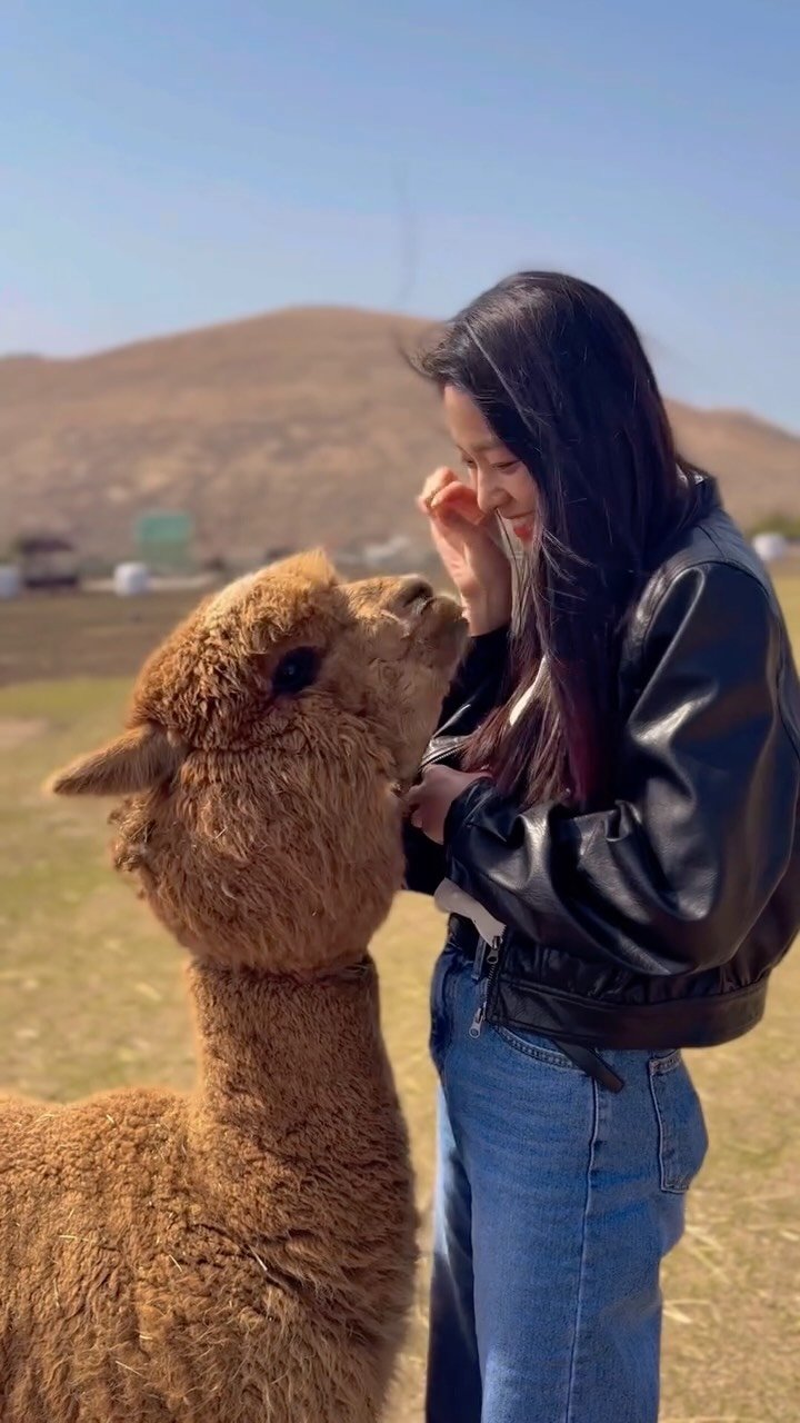 s2seolhyuns2 게시물 이미지: 🐤🌻🍌🍯🔆🍍🚖📒🌽