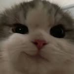 myoujxu 프로필 사진