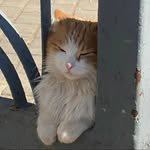 iamyuujin 프로필 사진