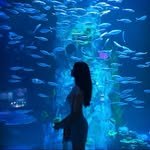 w.only.nn 프로필 사진