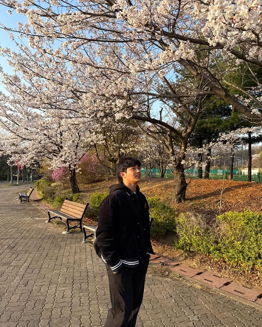 Photo by 김승겸 on April 11, 2025.