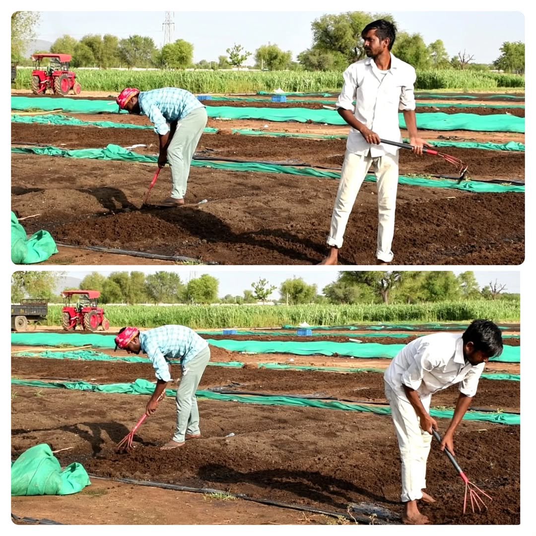 saakaar_organic_india_lakshya 게시물 이미지: Vermicomposed is not just fertilizer;
It's...