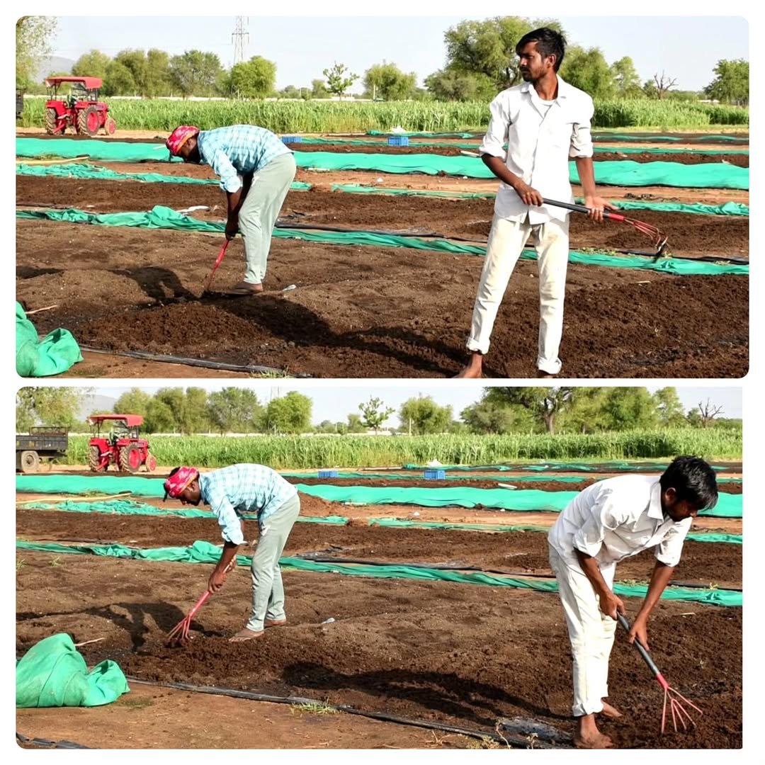 Photo by Saakaar Organic India lakshya on October 03, 2025.