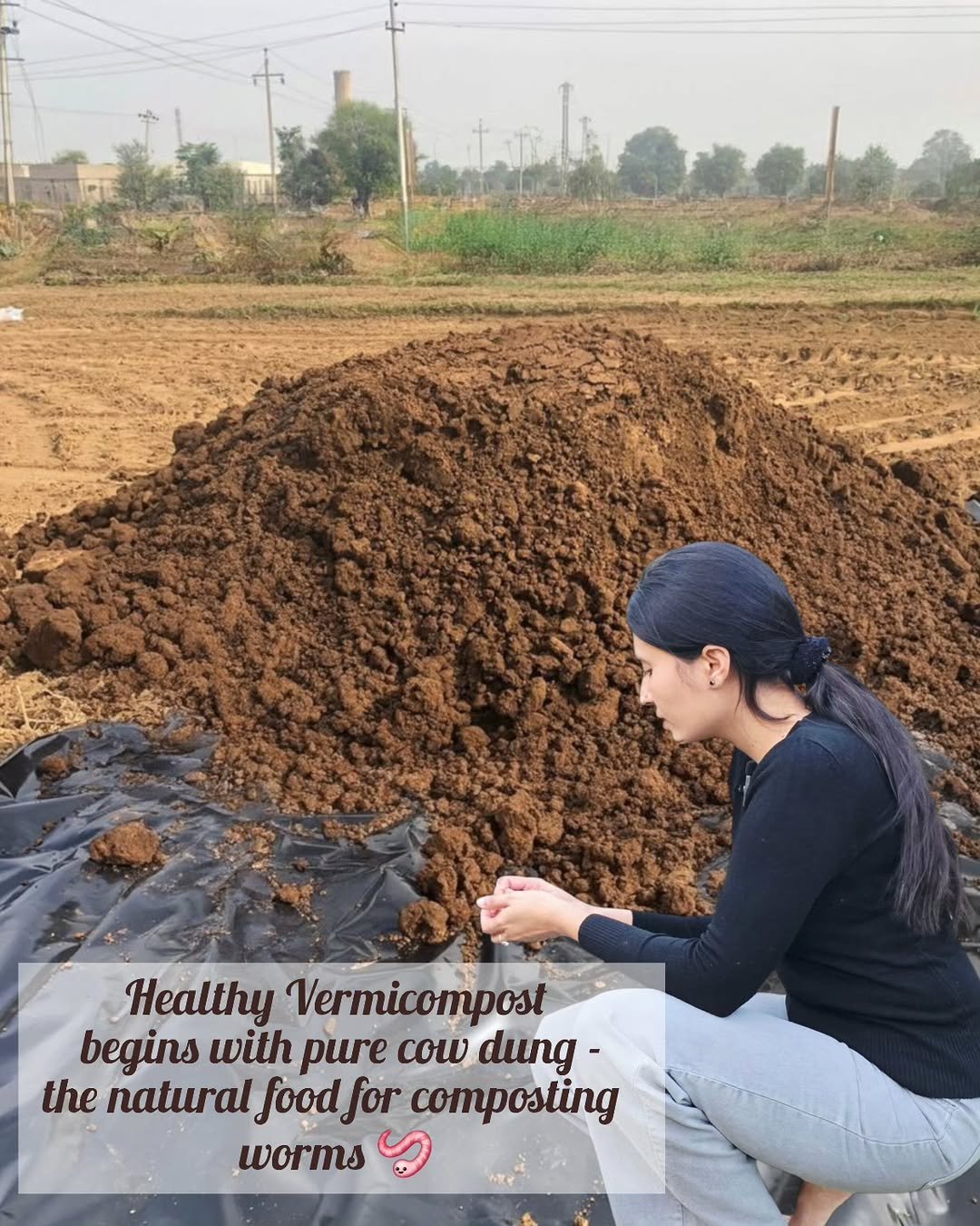 Photo by Saakaar Organic India lakshya on September 20, 2025. May be an image of plant.