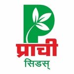 prachiseedsindia 프로필 사진