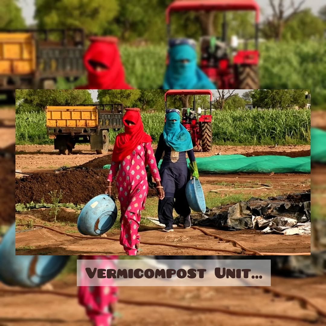 Photo by Saakaar Organic India lakshya on October 12, 2025. May be an image of vegetable, plant and text that says 'VERMICOMPOST UNIT... •••'.