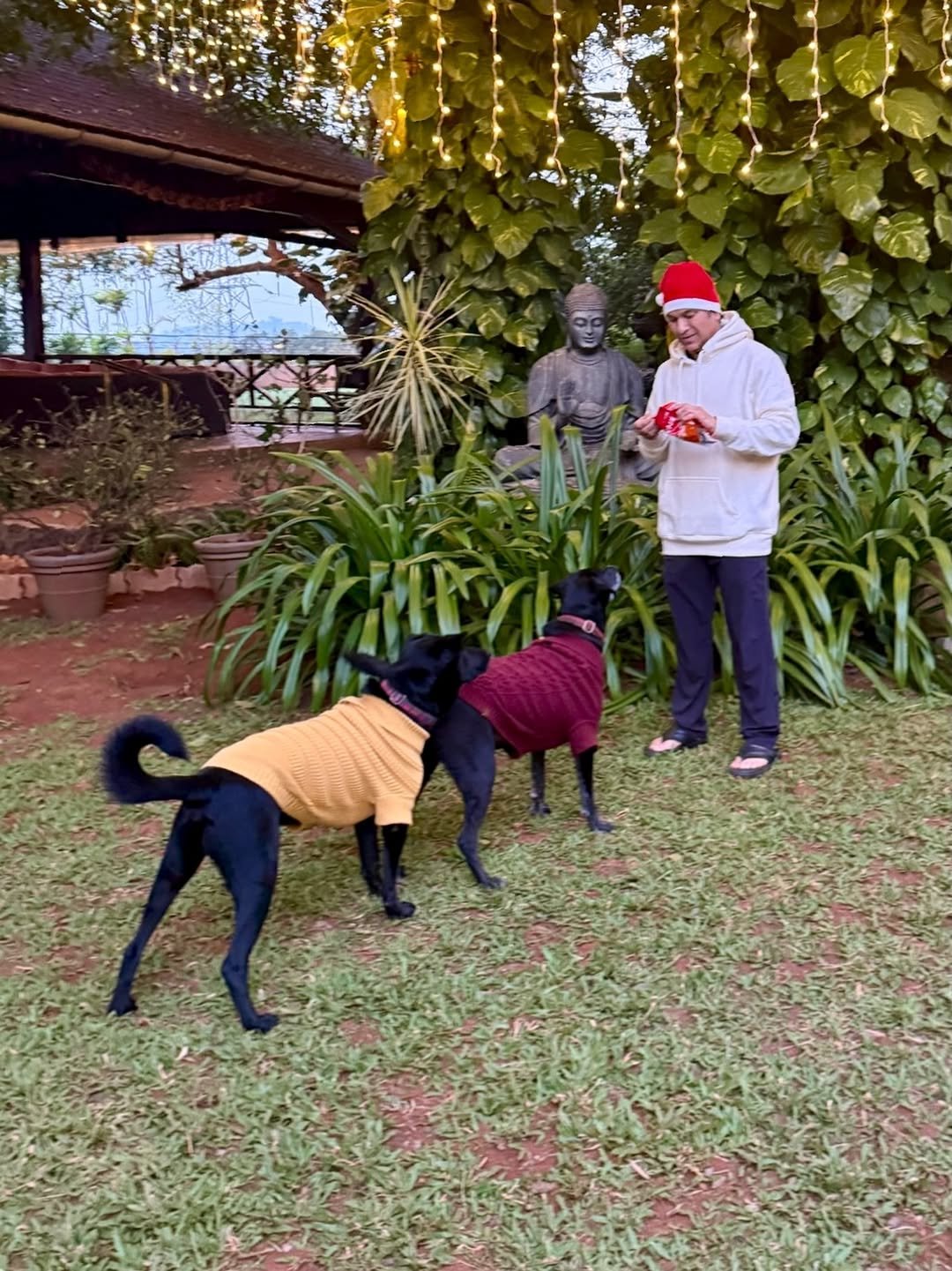 Photo by Sachin Tendulkar on December 25, 2025. May be an image of collie, parka, outdoors and text.