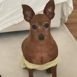 daechusz 프로필 사진