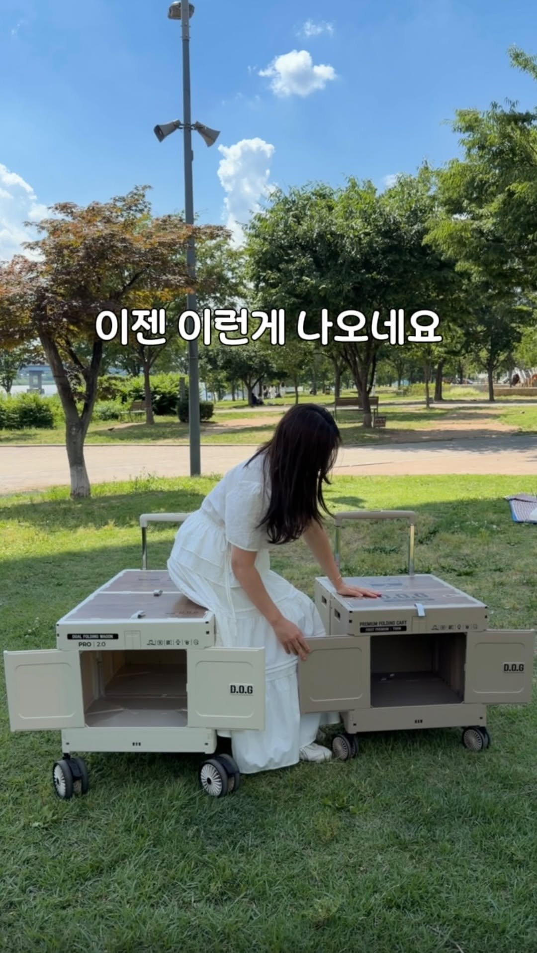 saedek_oins 게시물 이미지: 도그독 모르시는 분들 잘 없으시죠!?
2026년 최신상 공구입니다!

🤎 폴딩카트...
