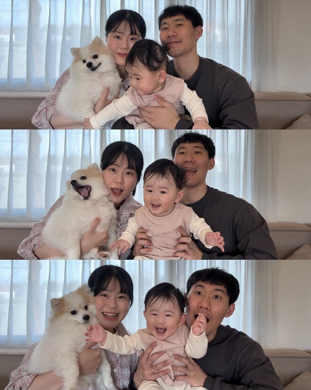 Photo shared by 새미 on February 28, 2026 tagging @100_s.woo. May be an image of baby, Pekinese and text.