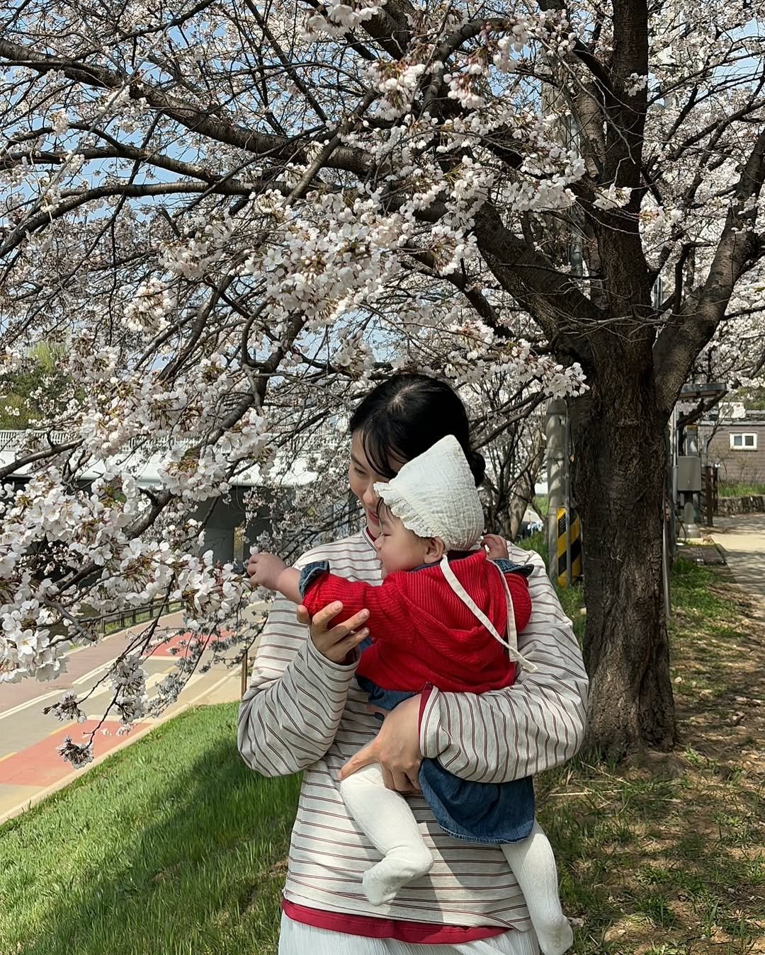 Photo shared by 새미 on April 05, 2026 tagging @100_s.woo. May be an image of baby, sling, flower, stone-fruit tree and text.