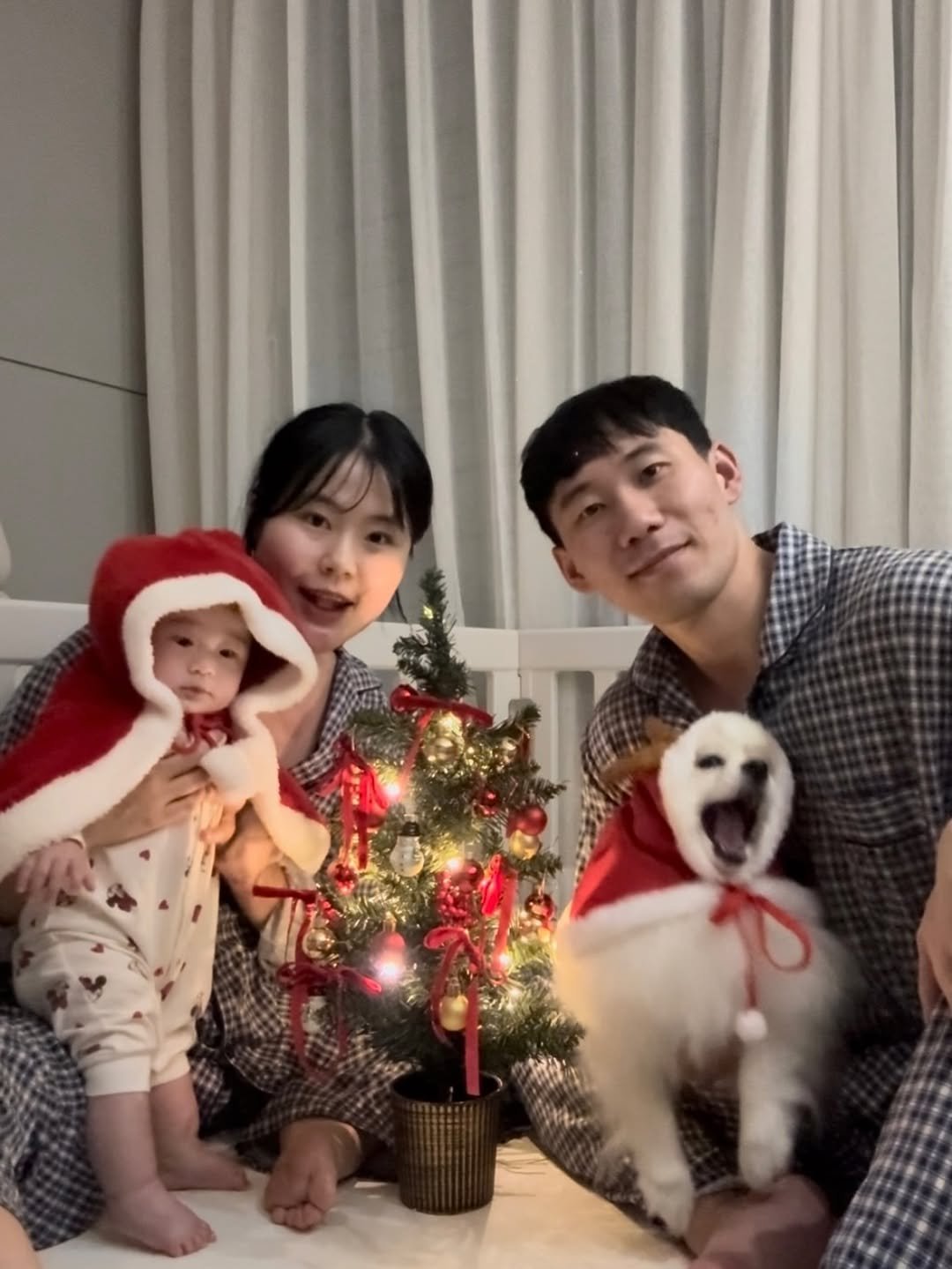 Photo shared by 새미 on December 25, 2025 tagging @100_s.woo. May be an image of Pekinese, christmas tree and text.