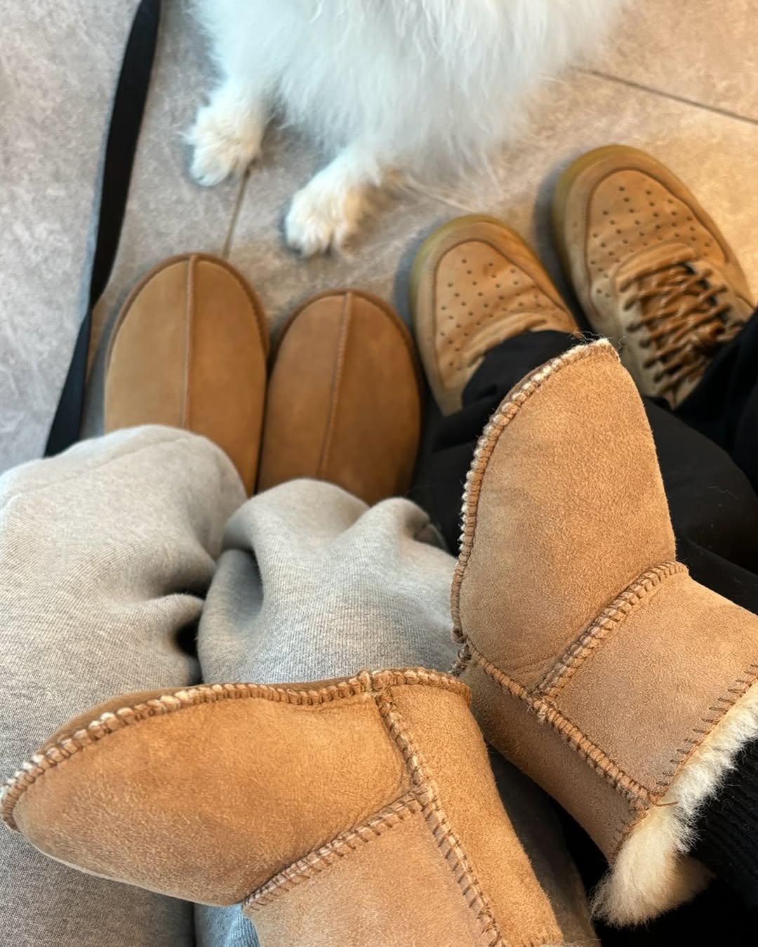 Photo shared by 새미 on December 21, 2025 tagging @100_s.woo, and @narin_b_narin. May be an image of Pekinese, fur, boots and text.