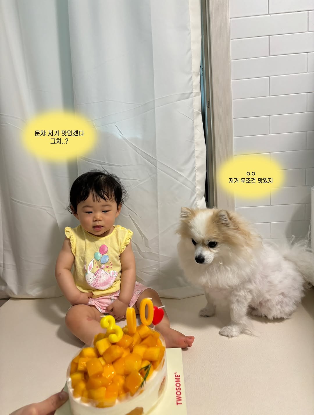 saemiiiii__ 게시물 이미지: 케이크랑 애둘 같이 사진찍기..이게 최선이었다..💭🐻🐥

(문치 생일때마다...
