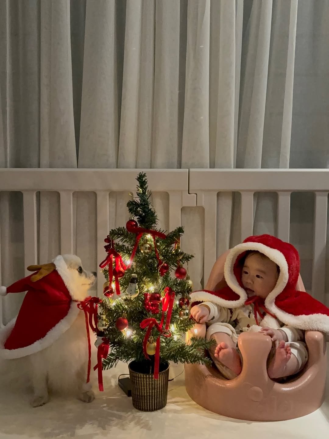 saemiiiii__ 게시물 이미지: 우리 가족 메리크리스마스-!🎅🏻🎄♥️