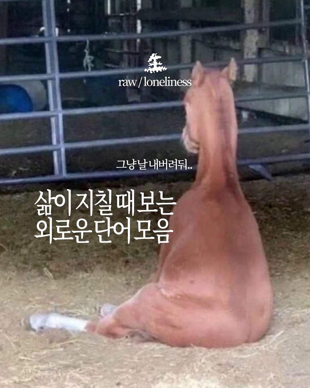 saengmag 게시물 이미지: 삶이 그대를 속일지라도

글쓴이 ■ / 삶이 지칠 때 보는 외로운 단어 모음

[...