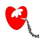 loveoldforest 프로필 사진