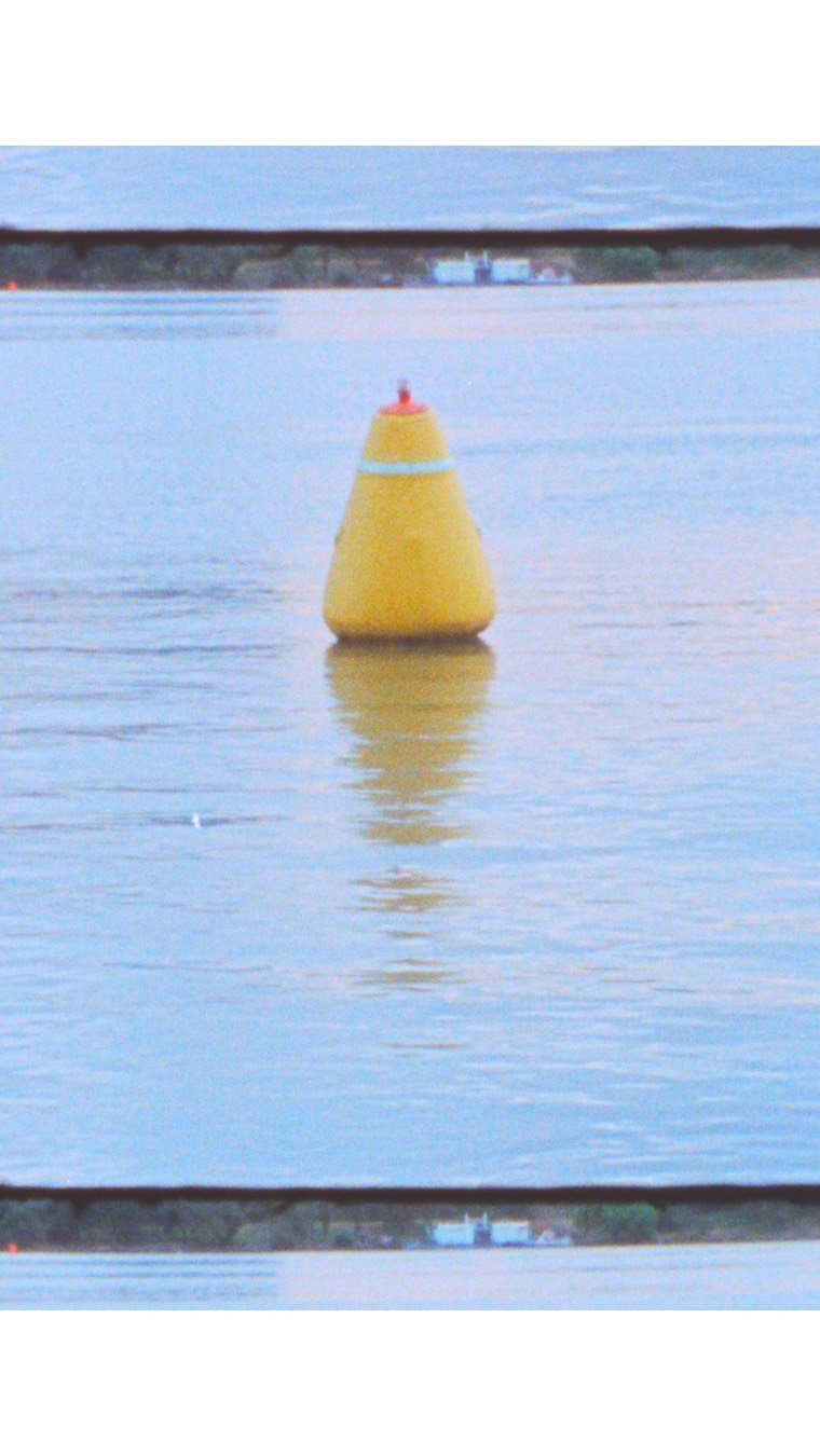 safarispot 게시물 이미지: New Release

29 Oct. ‘25
19cool tease