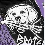 xbrotegex 프로필 사진