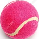 duo.kongha 프로필 사진